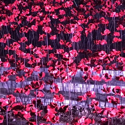 Plymouth Remembers – Poppies on Tour