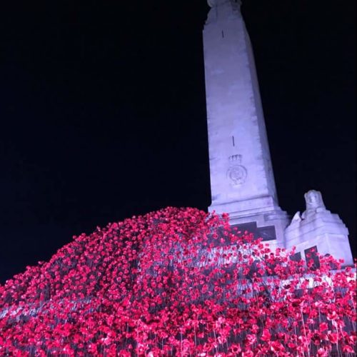 Plymouth Remembers – Poppies on Tour
